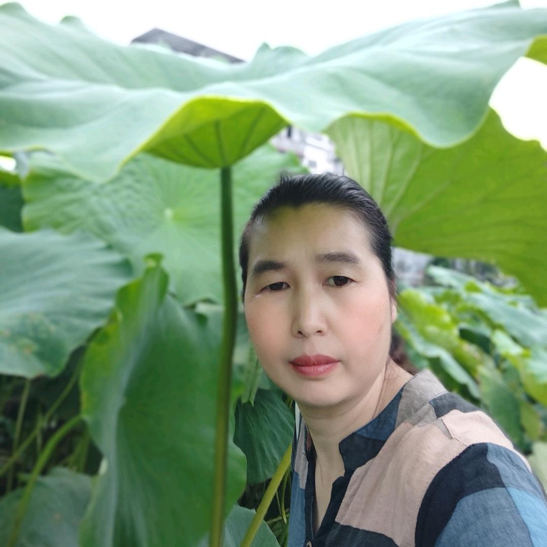 云李雾丽