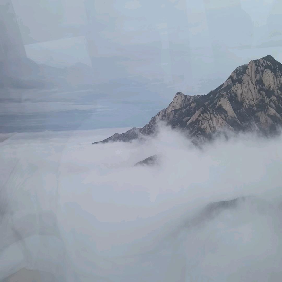 鳄鱼的眼泪