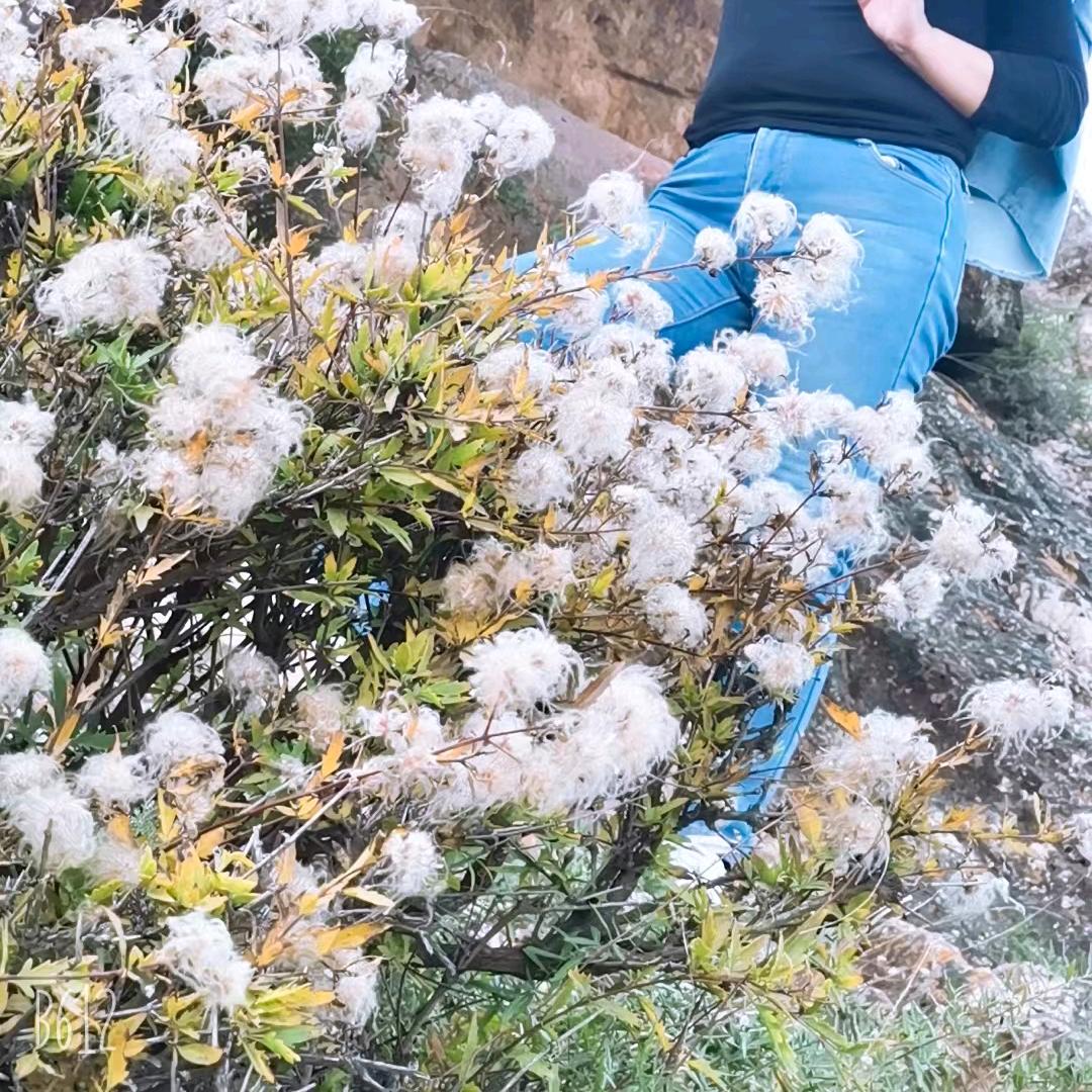 努力就有梦想