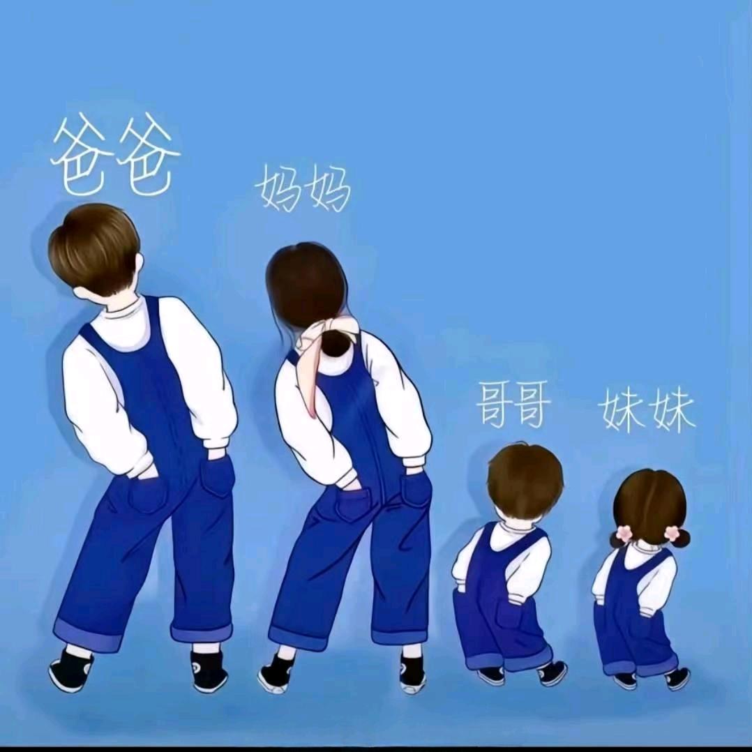 鹏兴辰苒