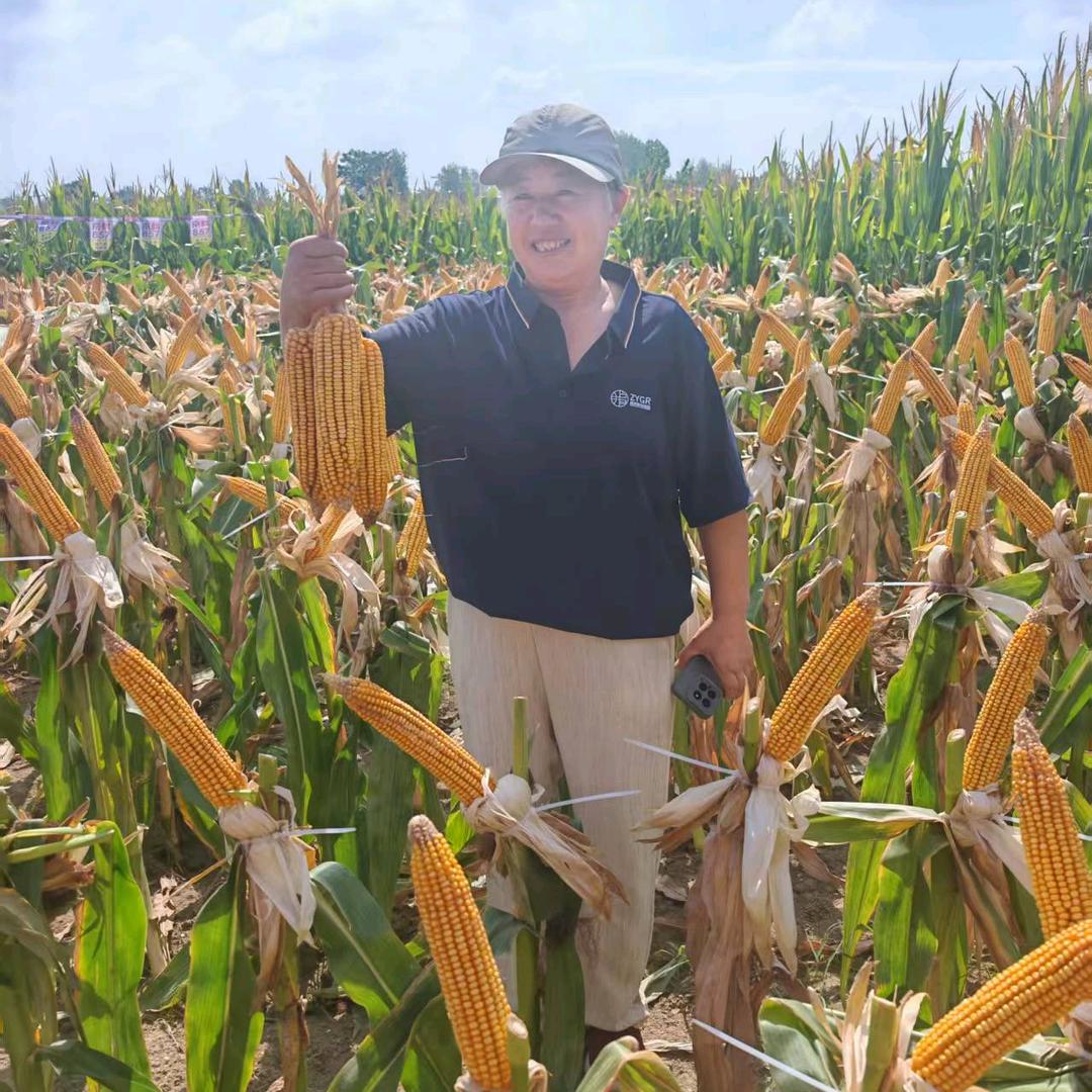 传德农资⁴¹³⁴¹³