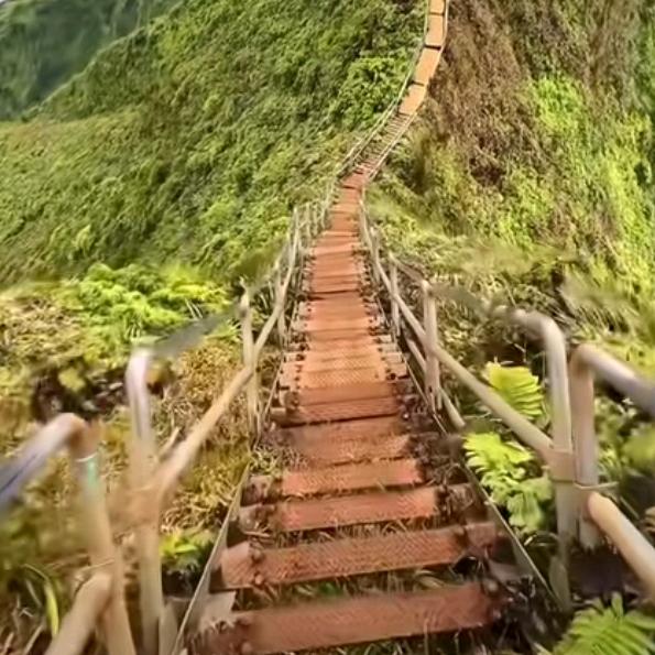 我是乐乐