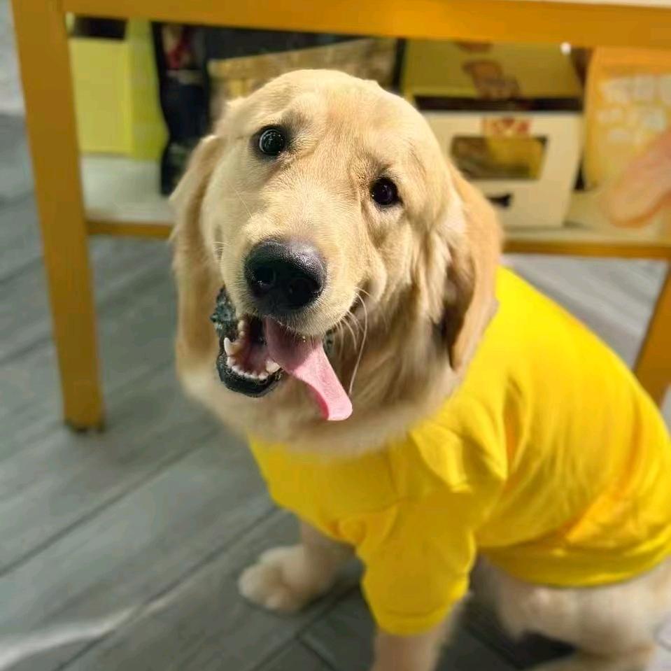 小小