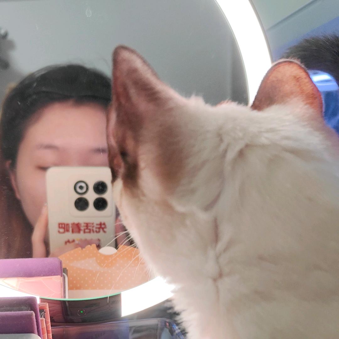 绿茶真的好好喝哦