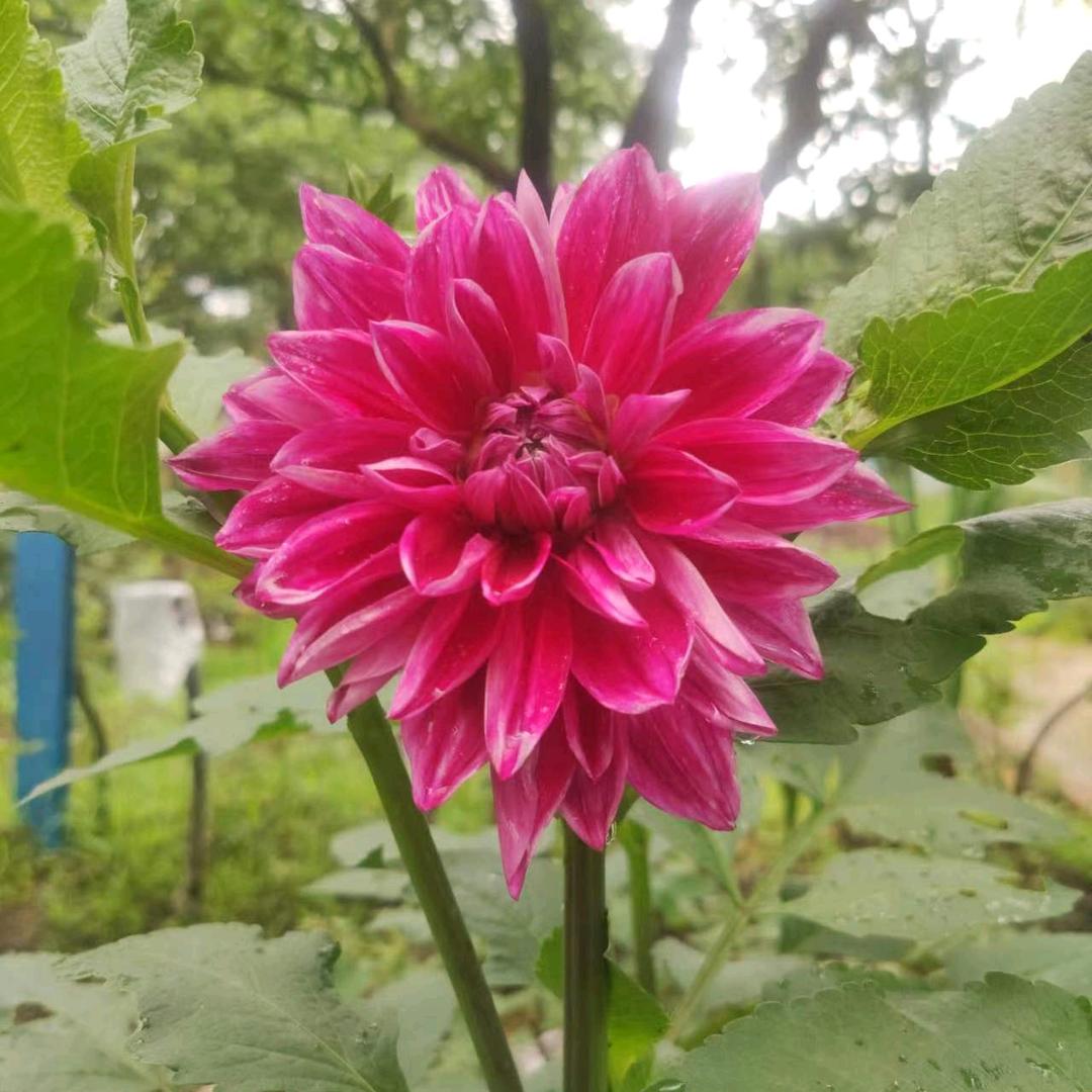相濡以沫🌺