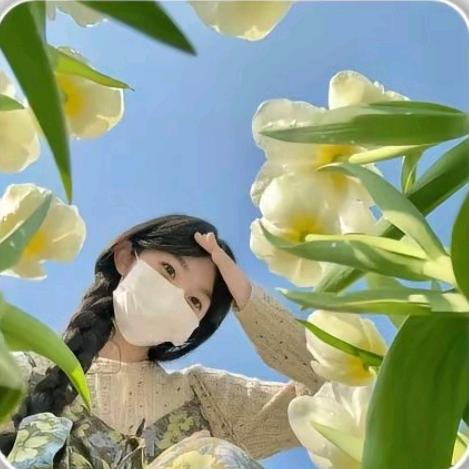 清绾
