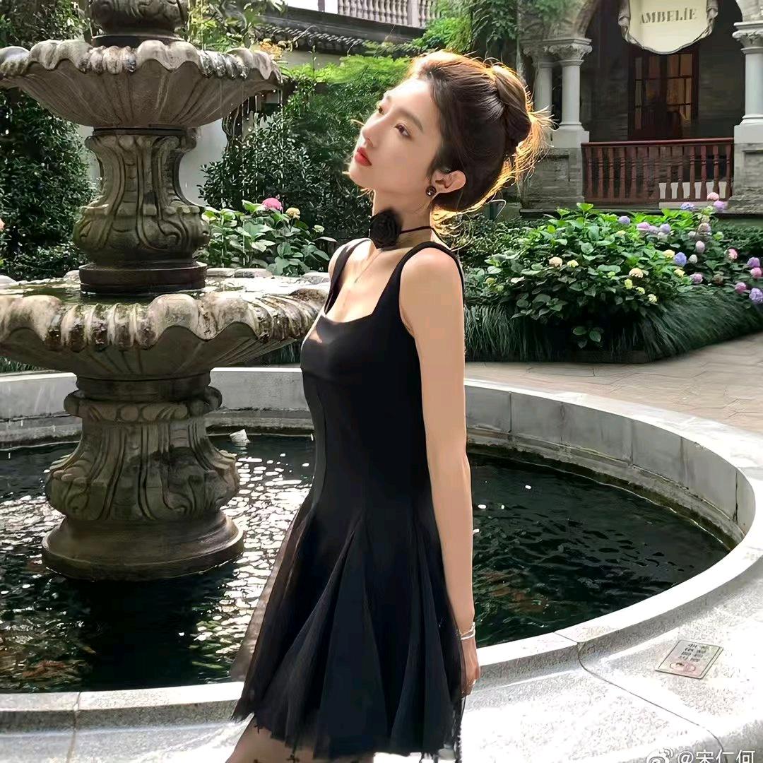 呆呆宝