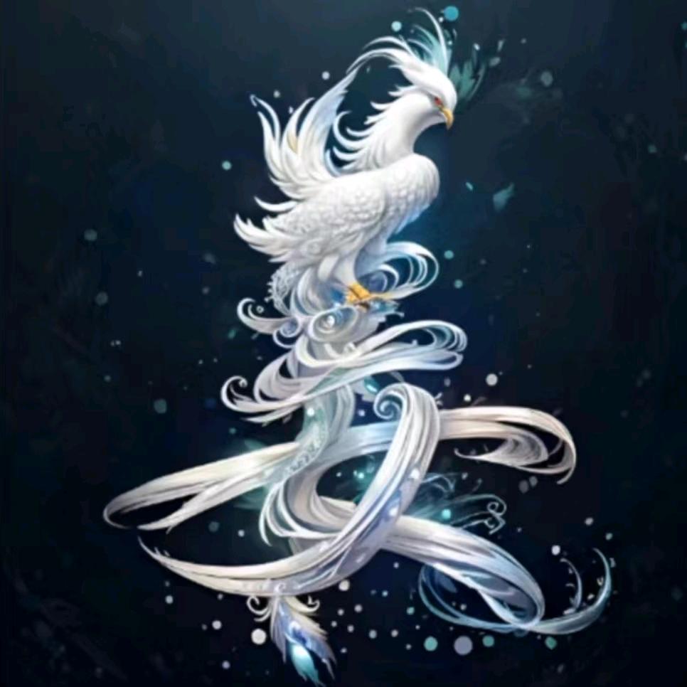 我的小名叫亮亮