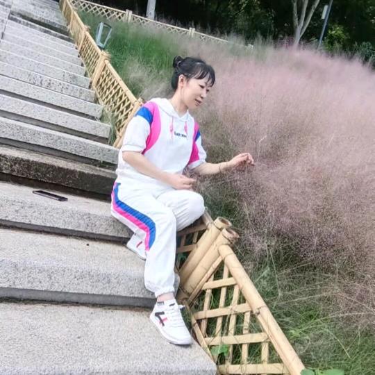 小鱼儿