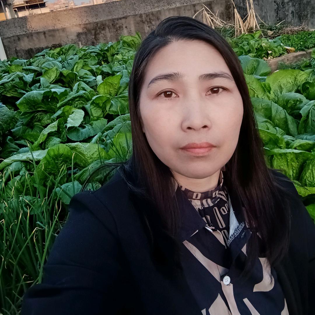 丰妈(首播晚10点10分)