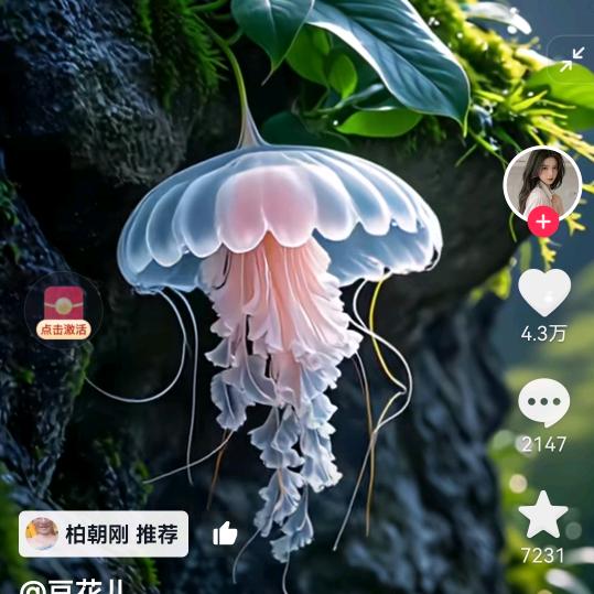 (董)好人一生平安