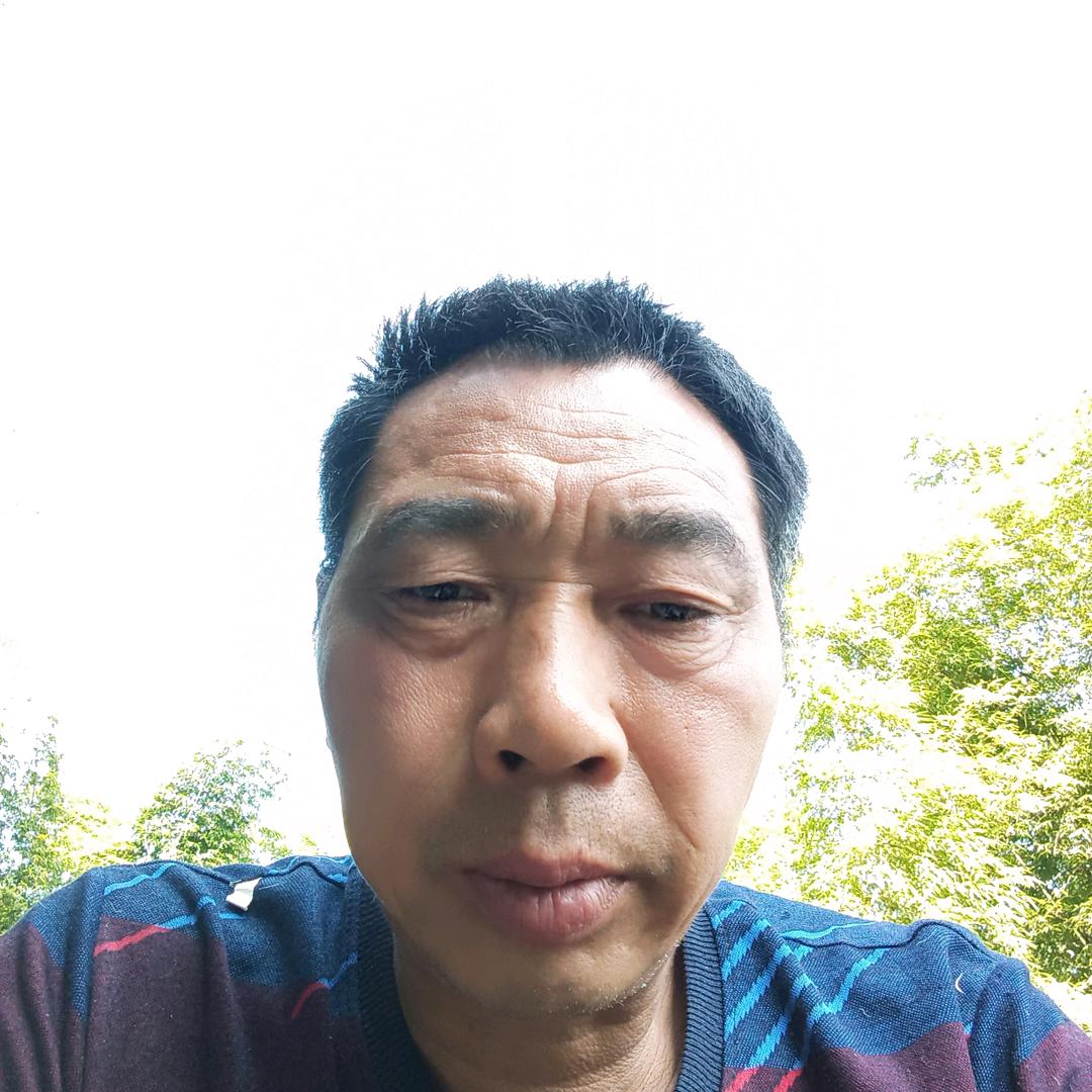 心哥