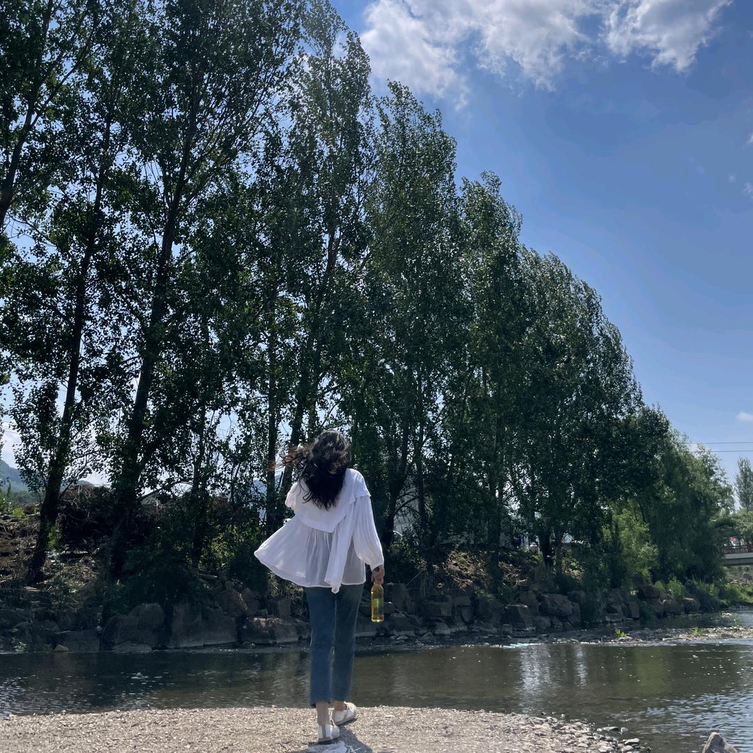好运来来🌻