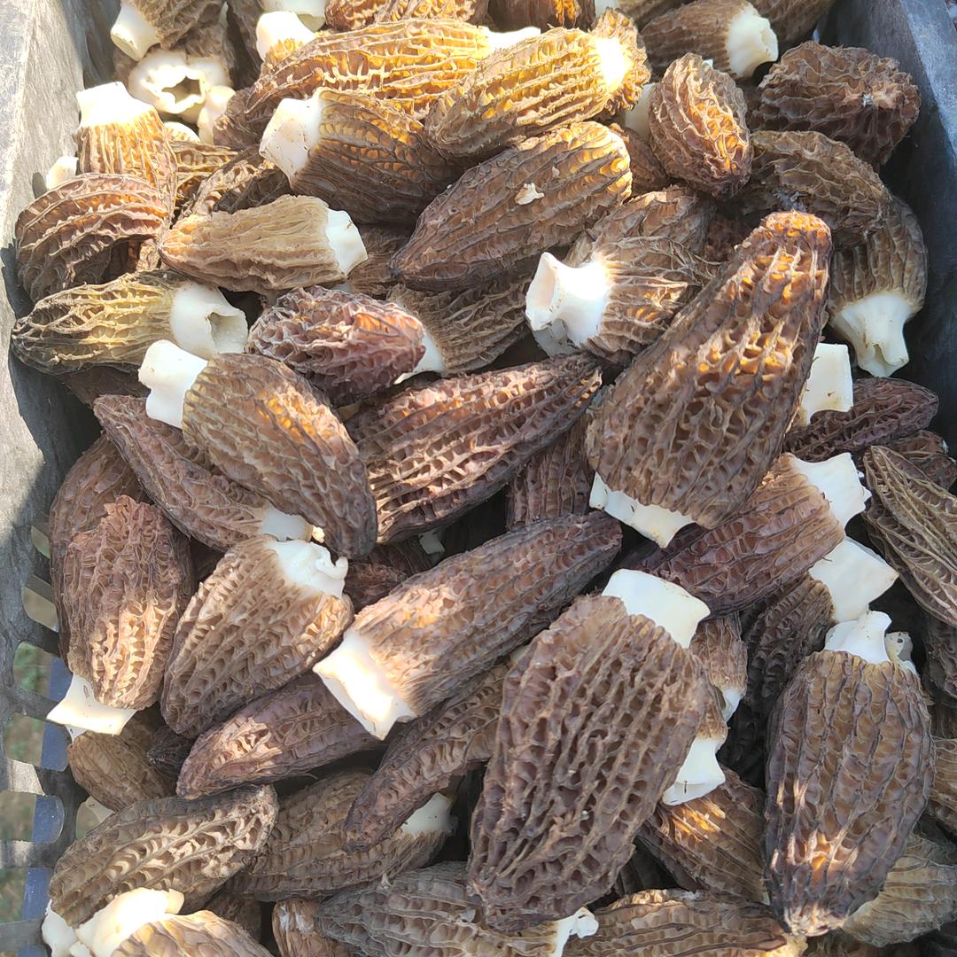 莫念商贸农食甄选阁