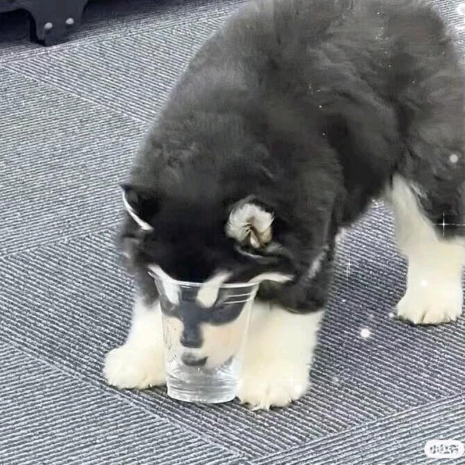 ^ω^