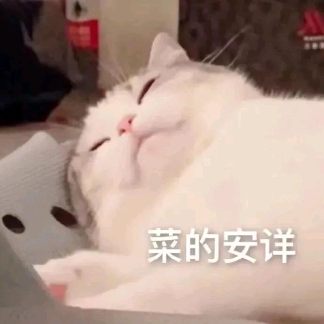 人间小太阳ᝰ