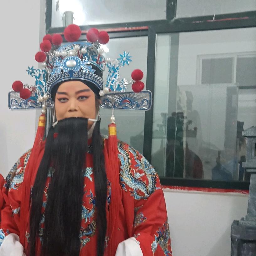商南高大姐