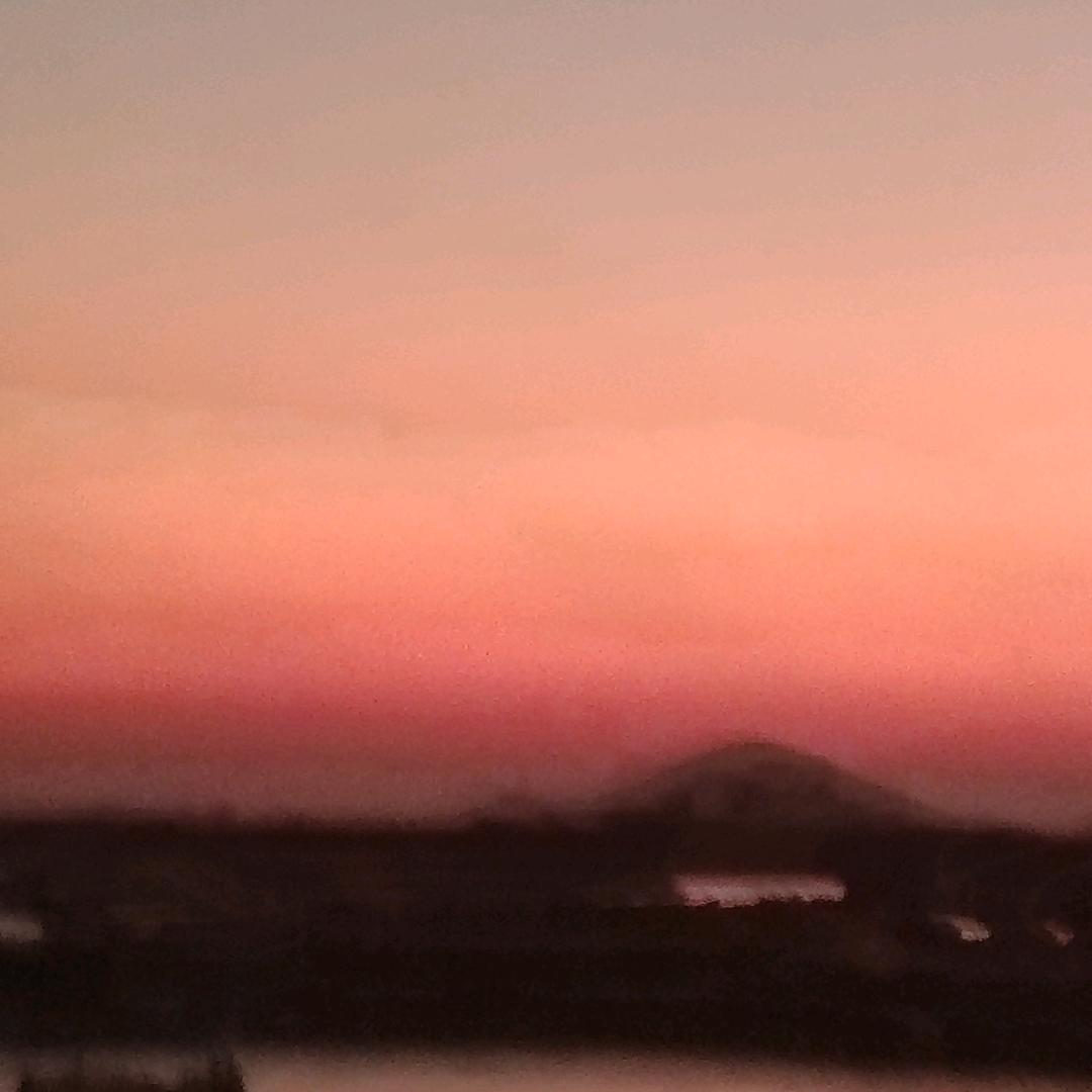 鸡爸