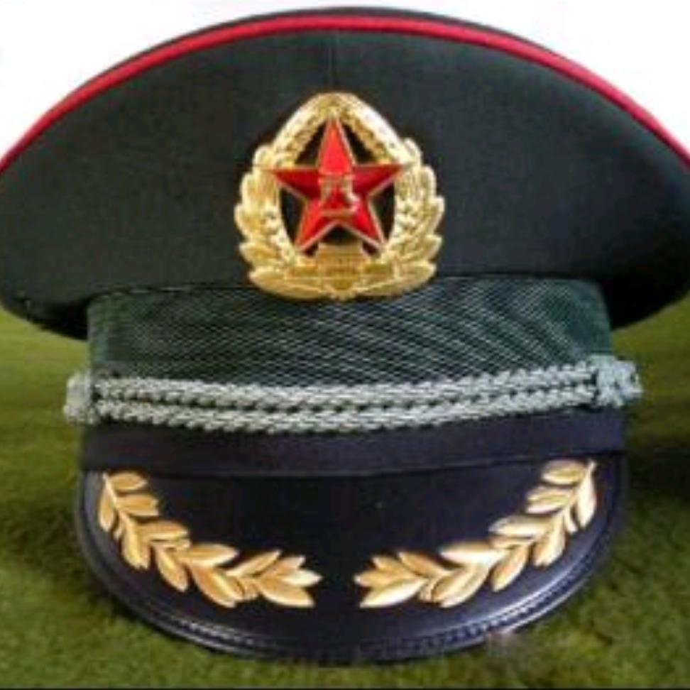 D0707831114