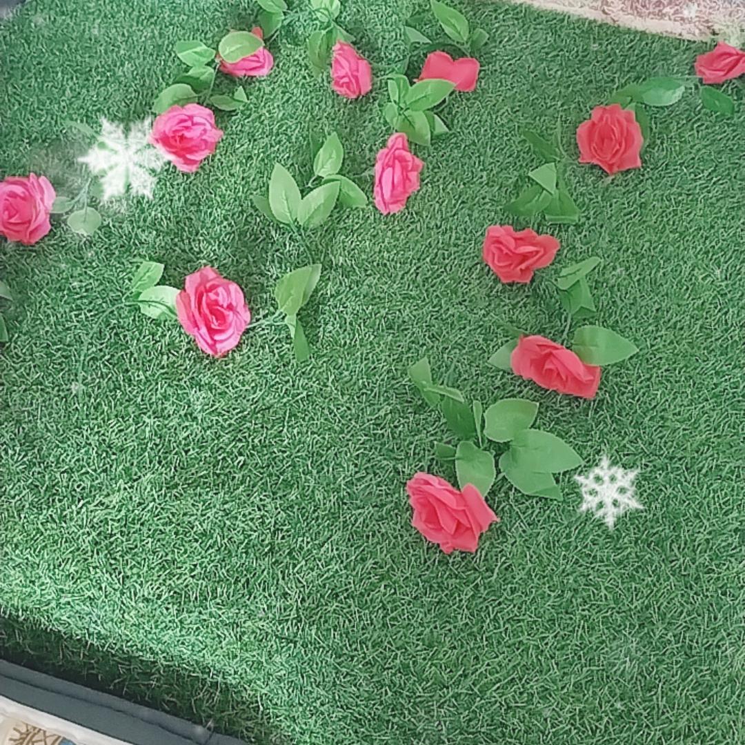 悦悦