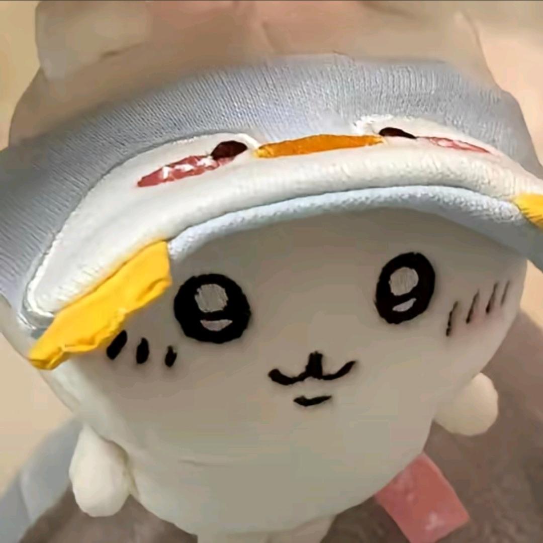 ՞˶･֊･˶՞ಣ