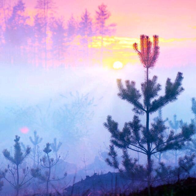 🥀এ᭄累了ꦿ谁💔疼ོ࿐ᩚ