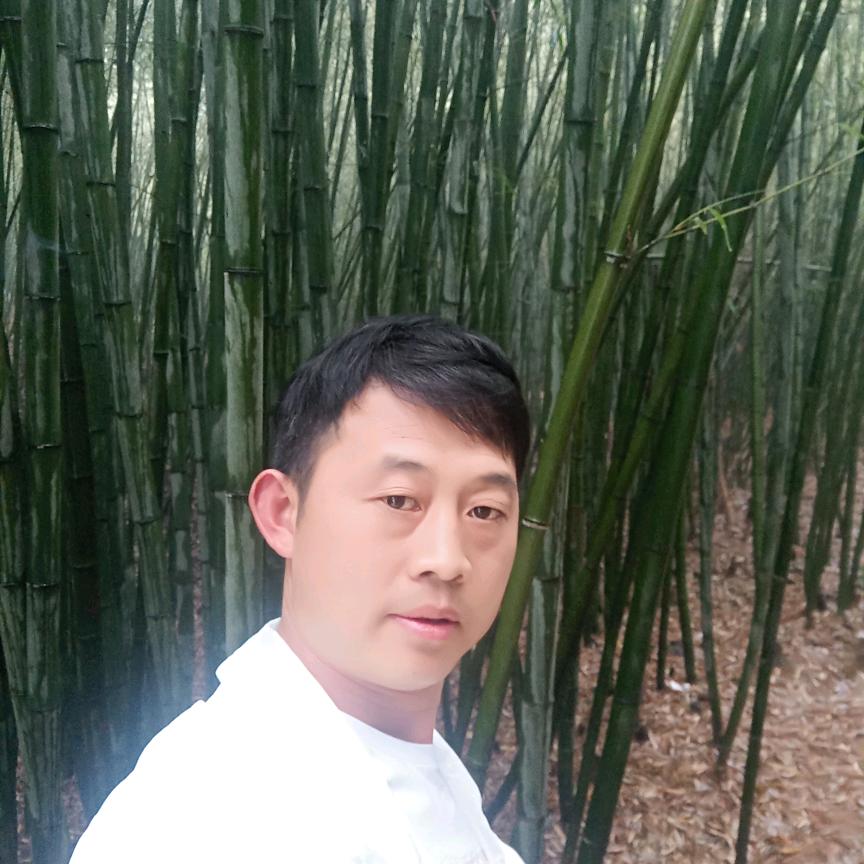 随风追梦