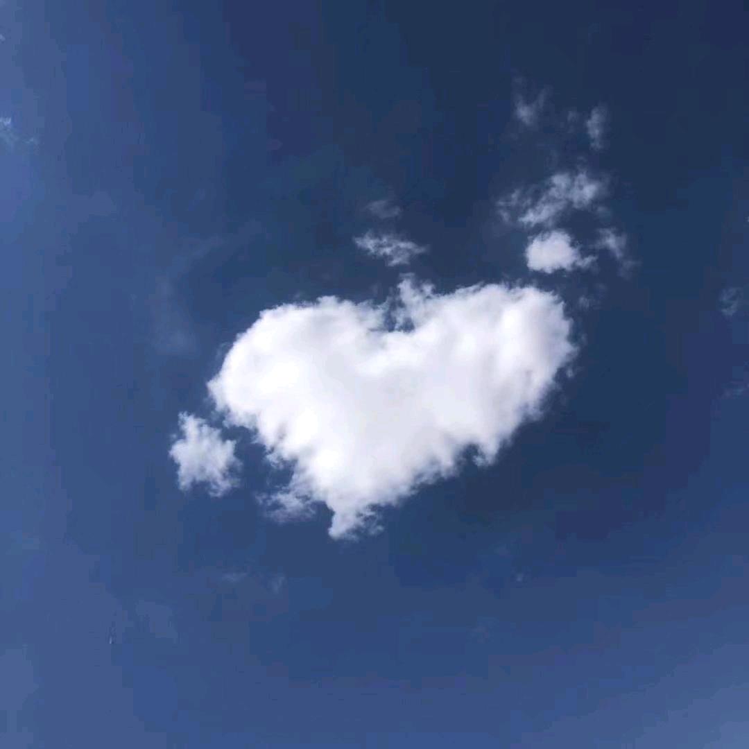 王鑫💕