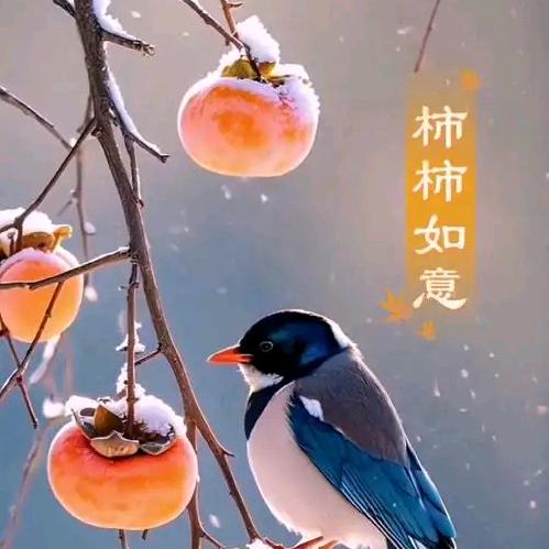 刘老师讲堂壹