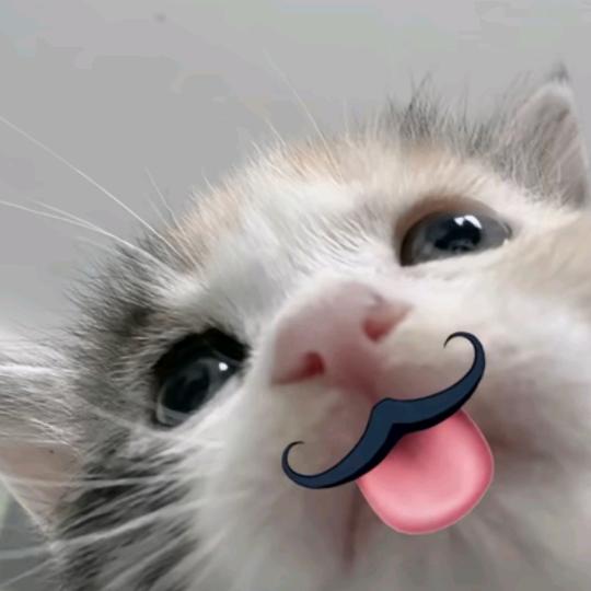 西湖水