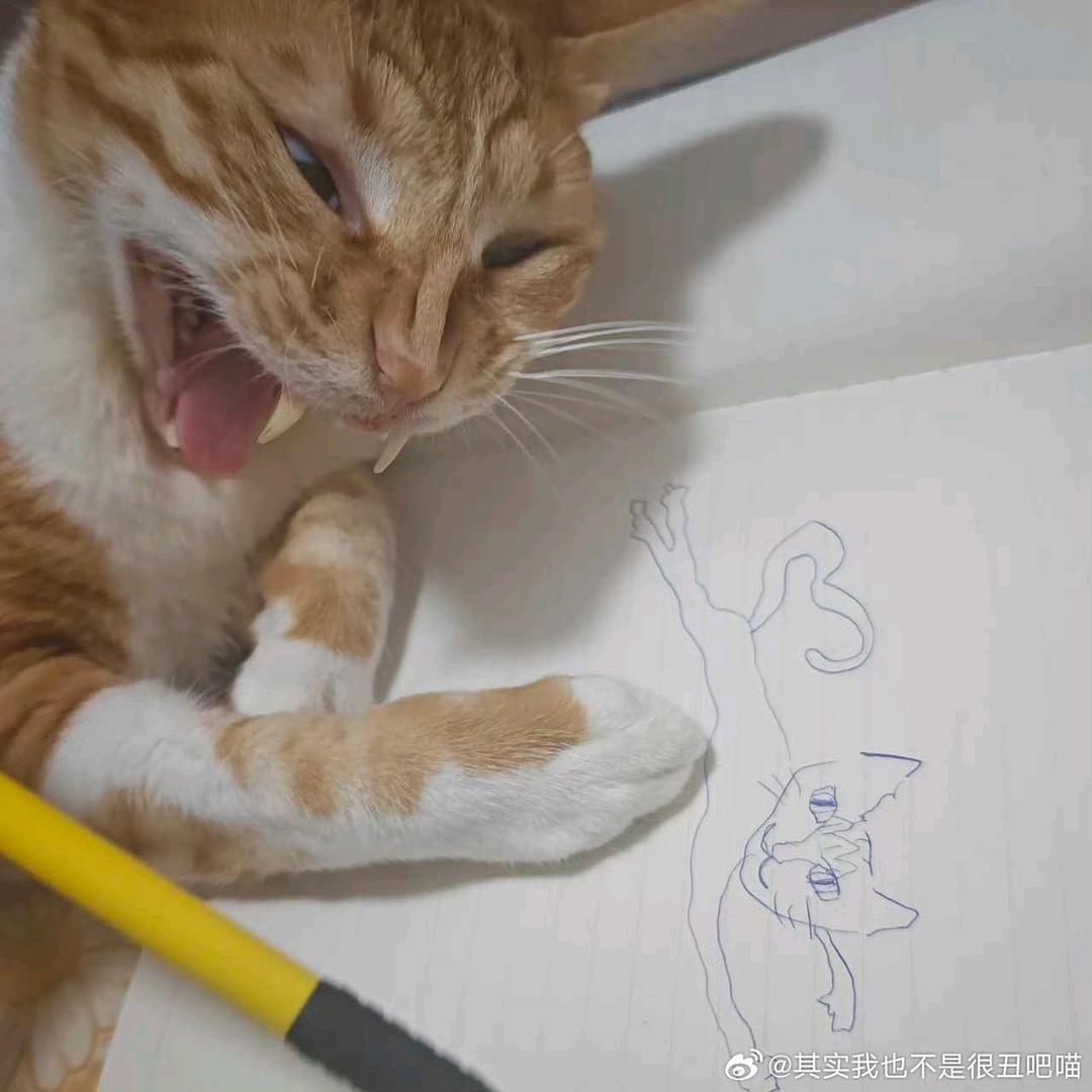 AAA砍线批发市场雨哥