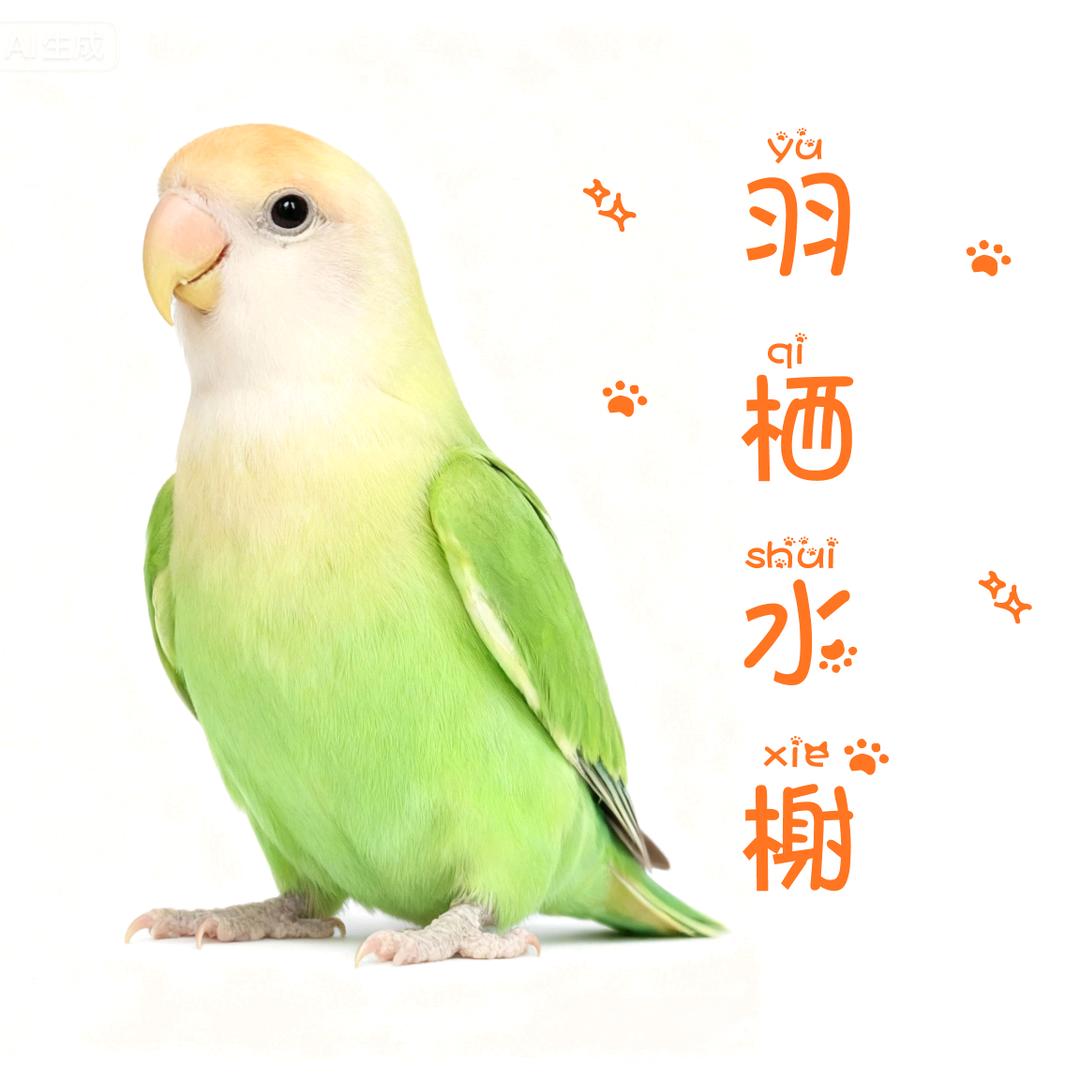 羽栖水榭