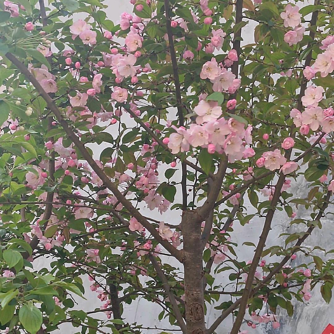 海纳百川
