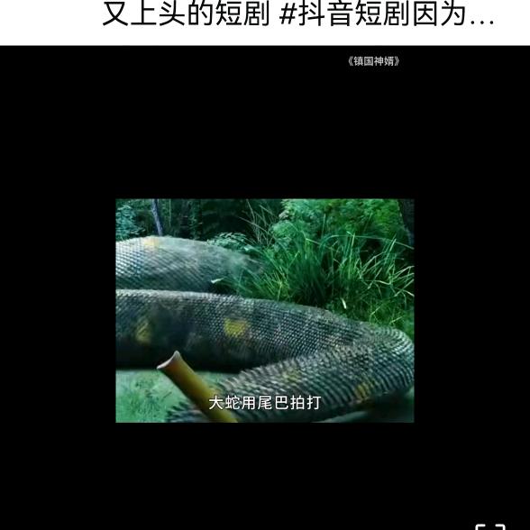 九哥