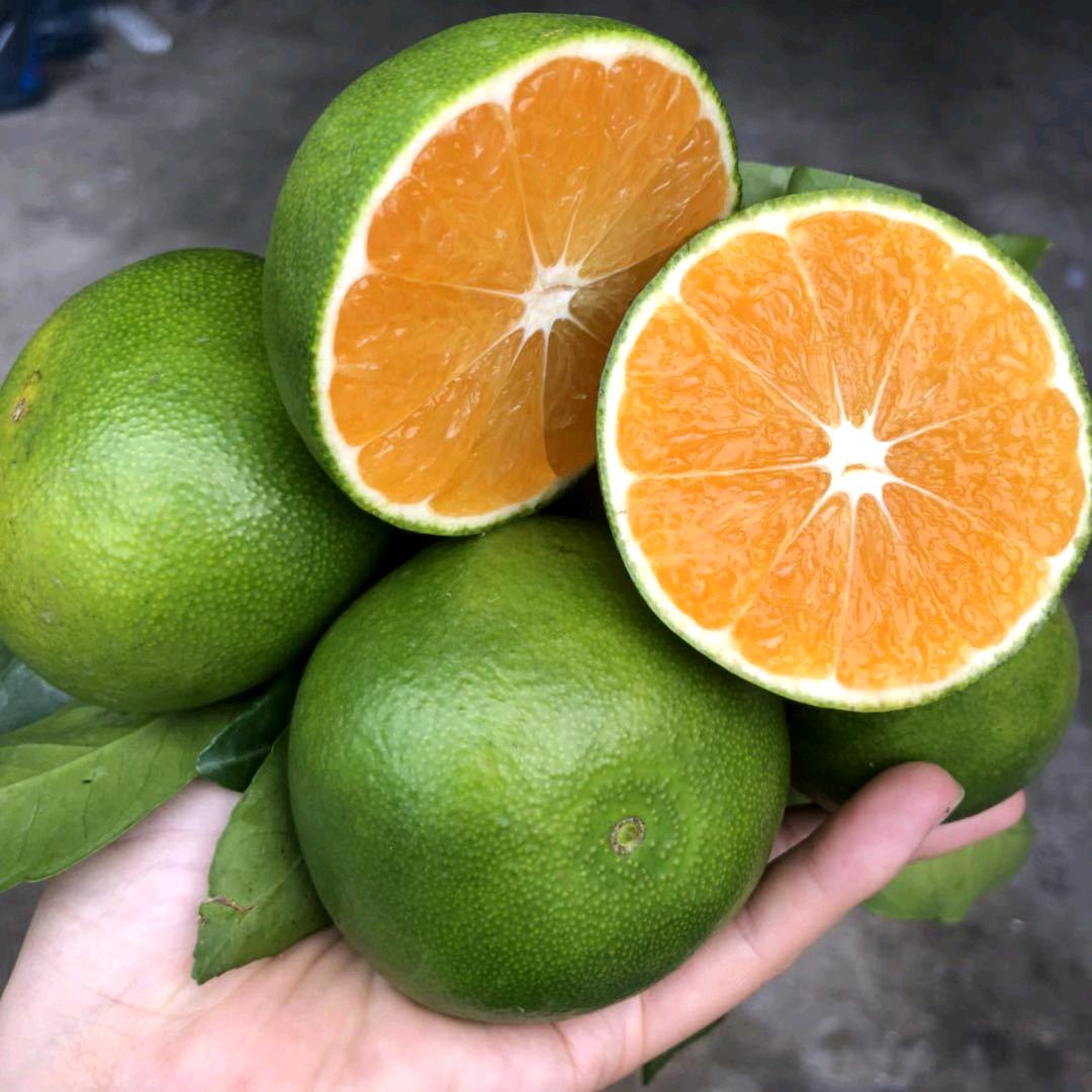 生鲜水果总批发1号仓