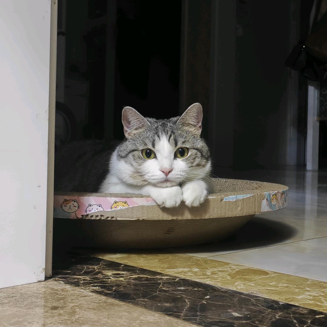時肆