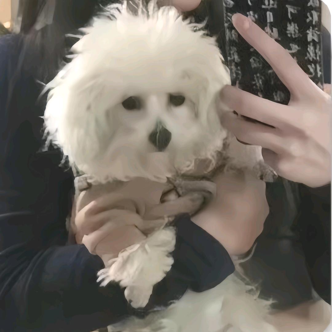 过 客