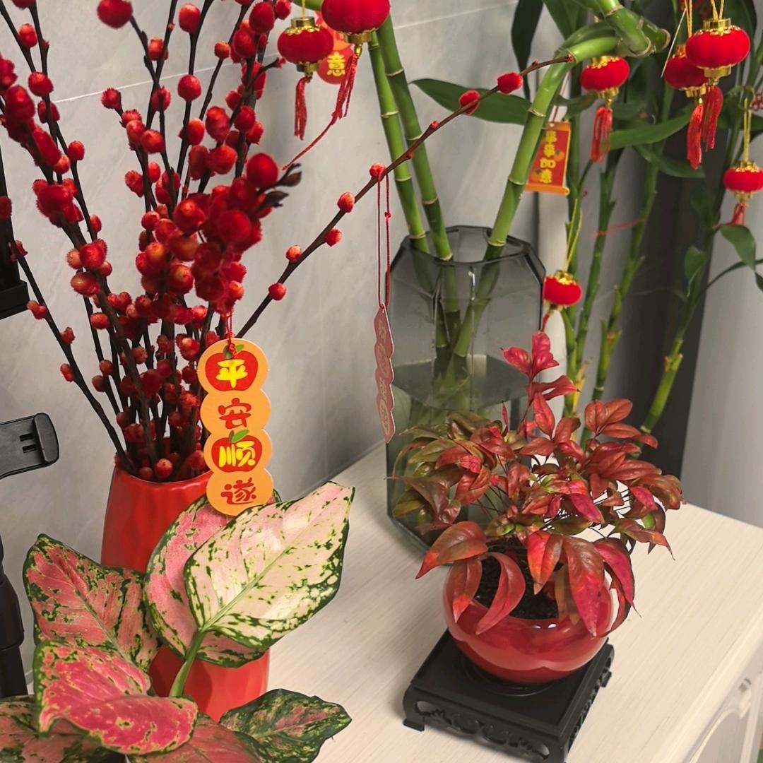 胭脂水粉