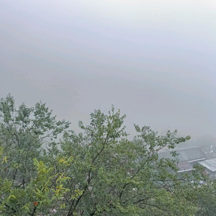 深山里隐居的逸人