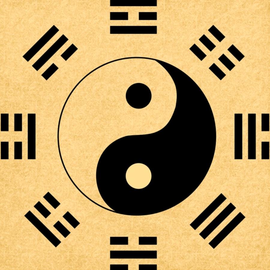哥已不再是当年的哥