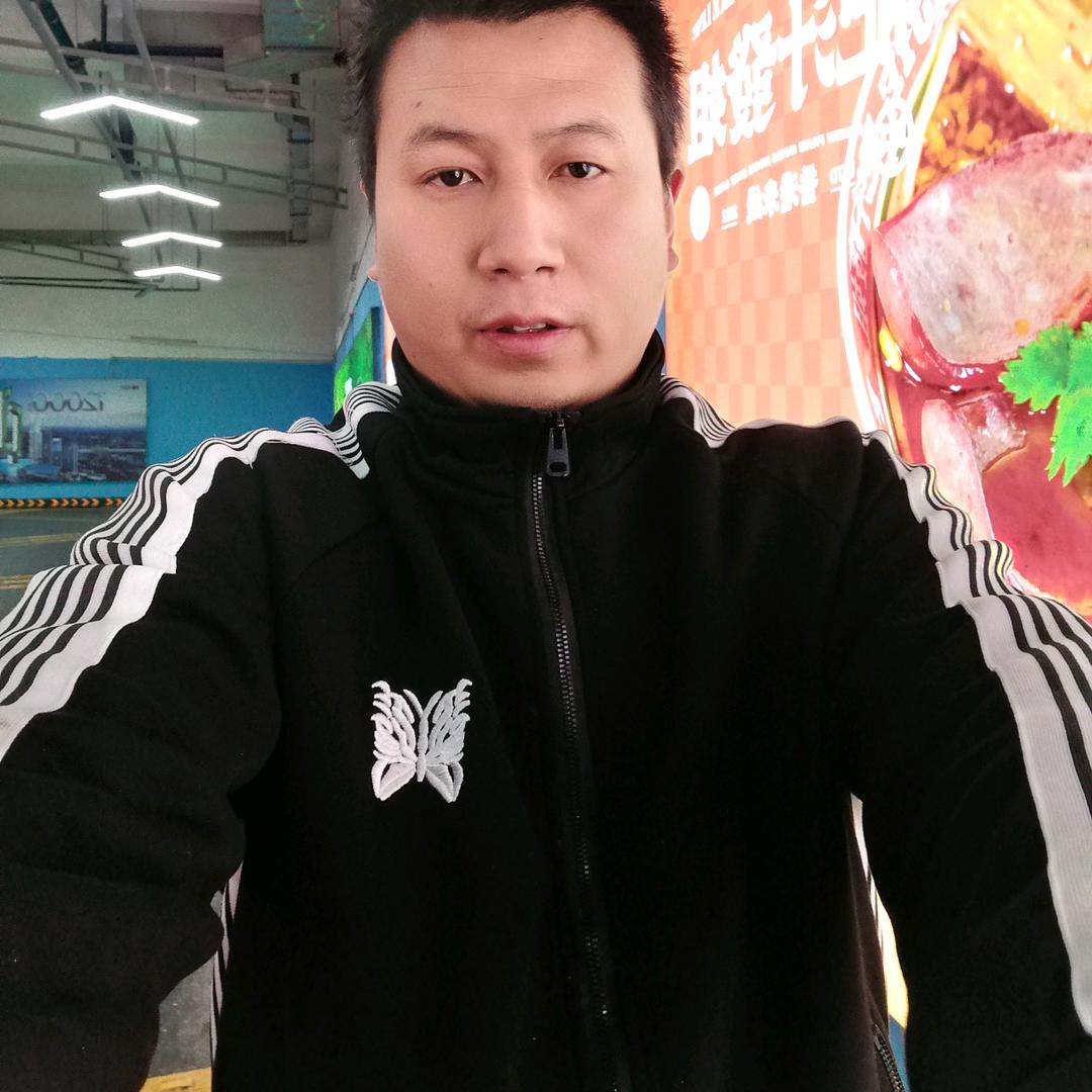 一切从新开始，上岸的鱼