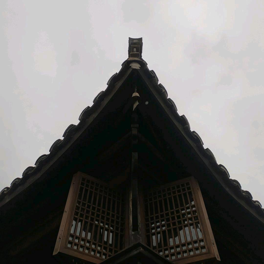 梧桐