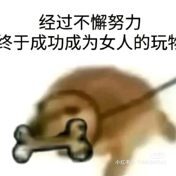 皮炎爱上了痔