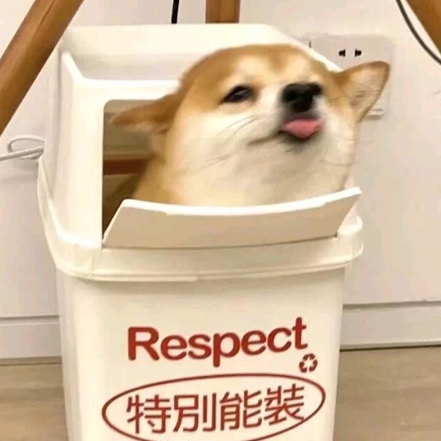 巧克力的歌声头像