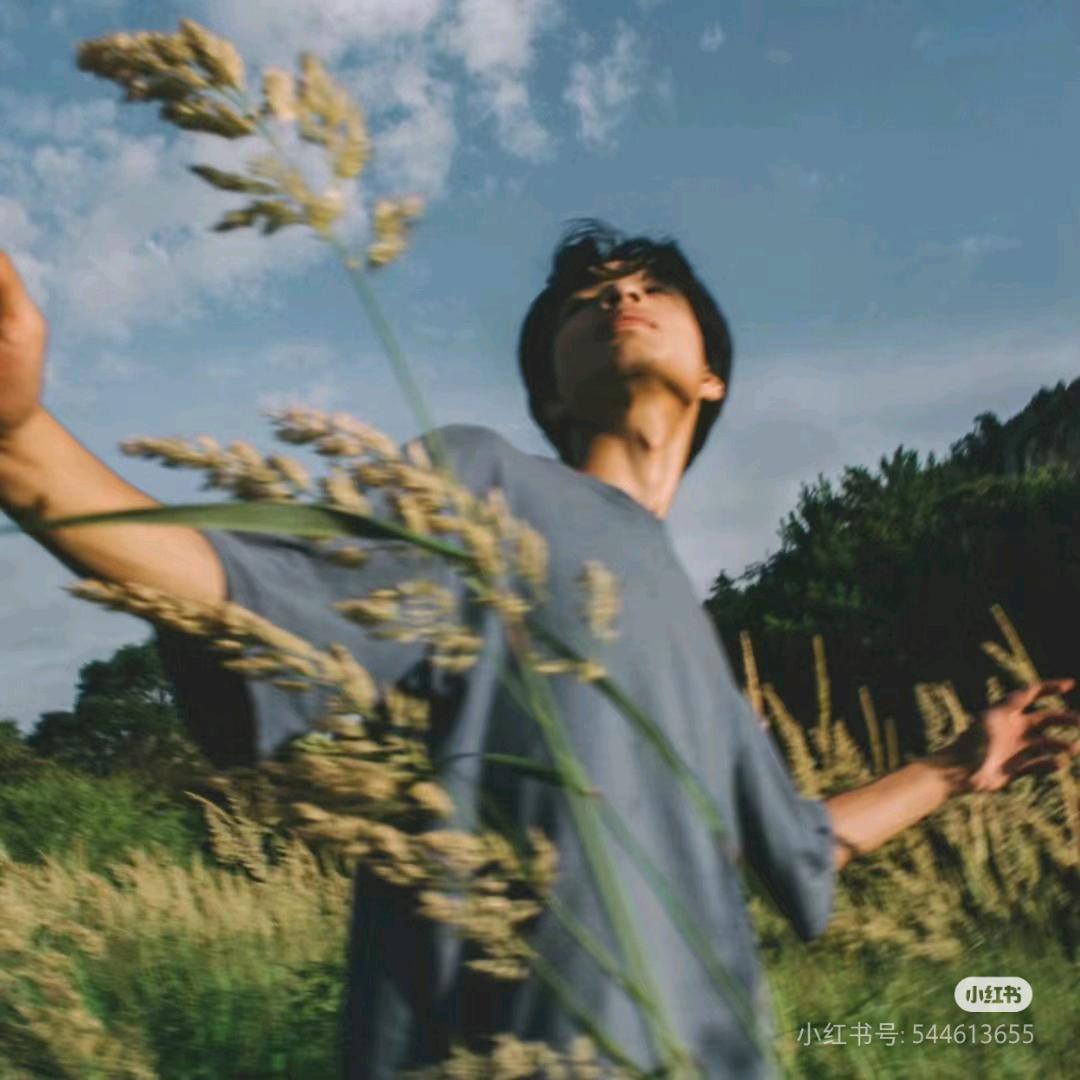 泡桐有点高