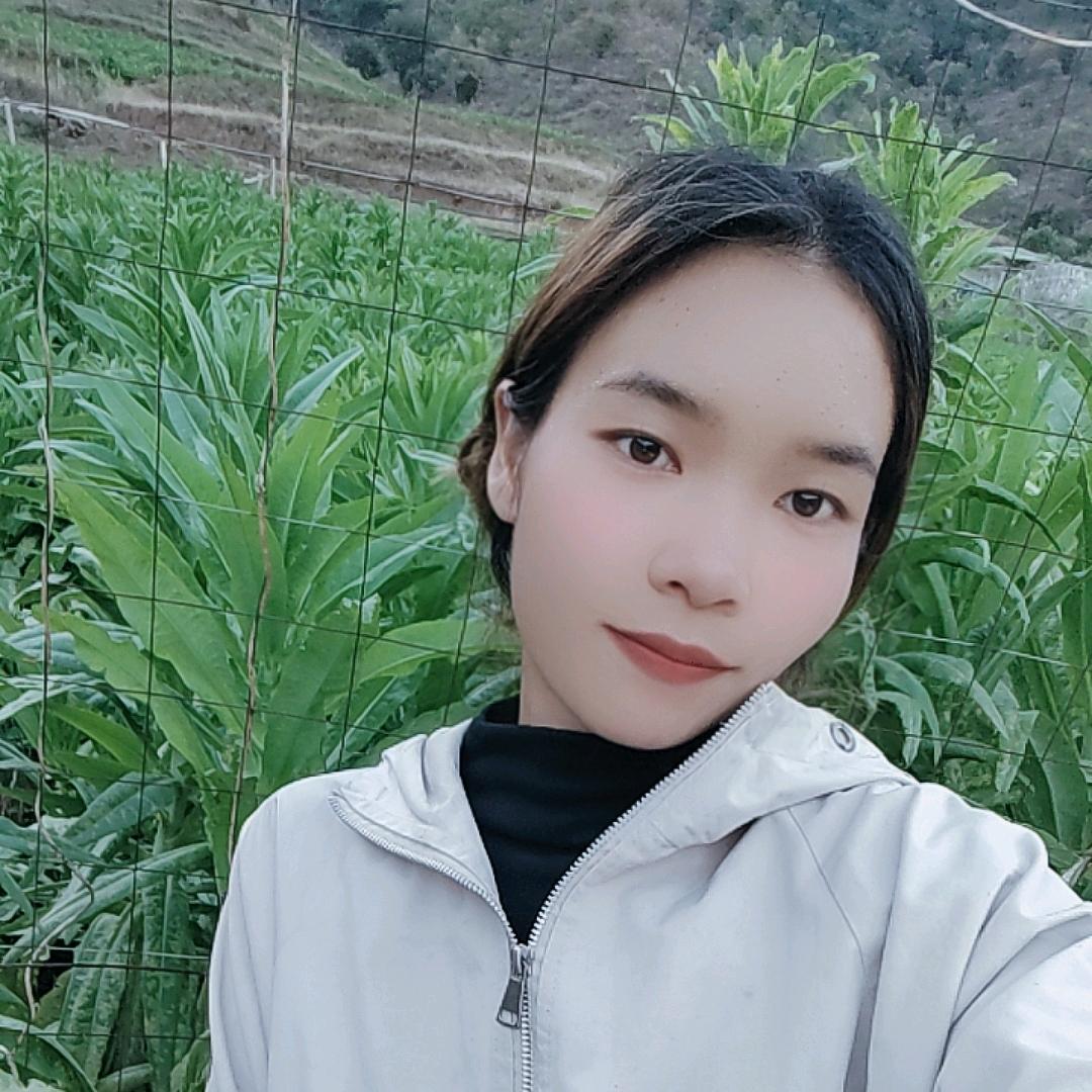 种植农业的小艳子