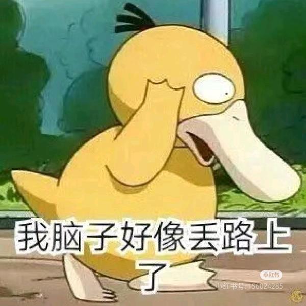 早上六点嗑瓜子儿