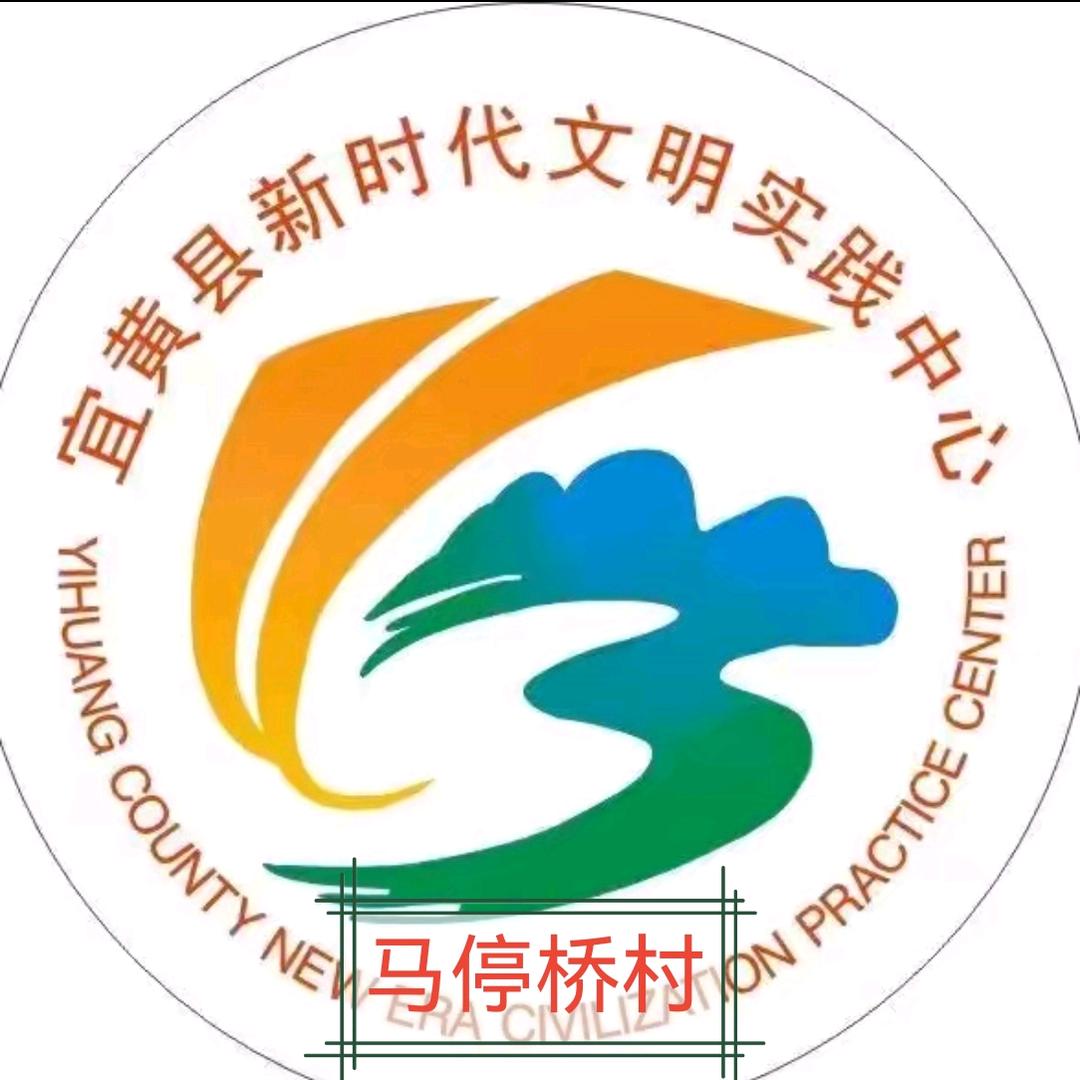 马停桥村文明实践员刘海