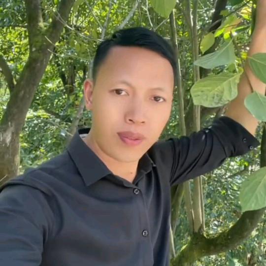 贵紫超哥