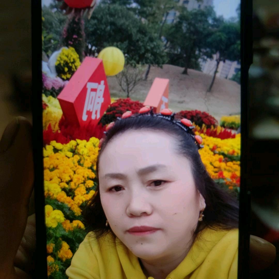 多多关照